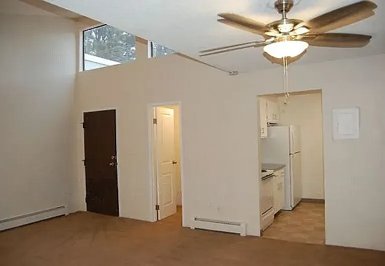 Skylight Unit Living Room Carpet