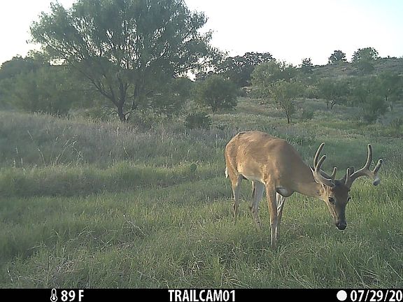 MACC Creek in Stephens County, TX