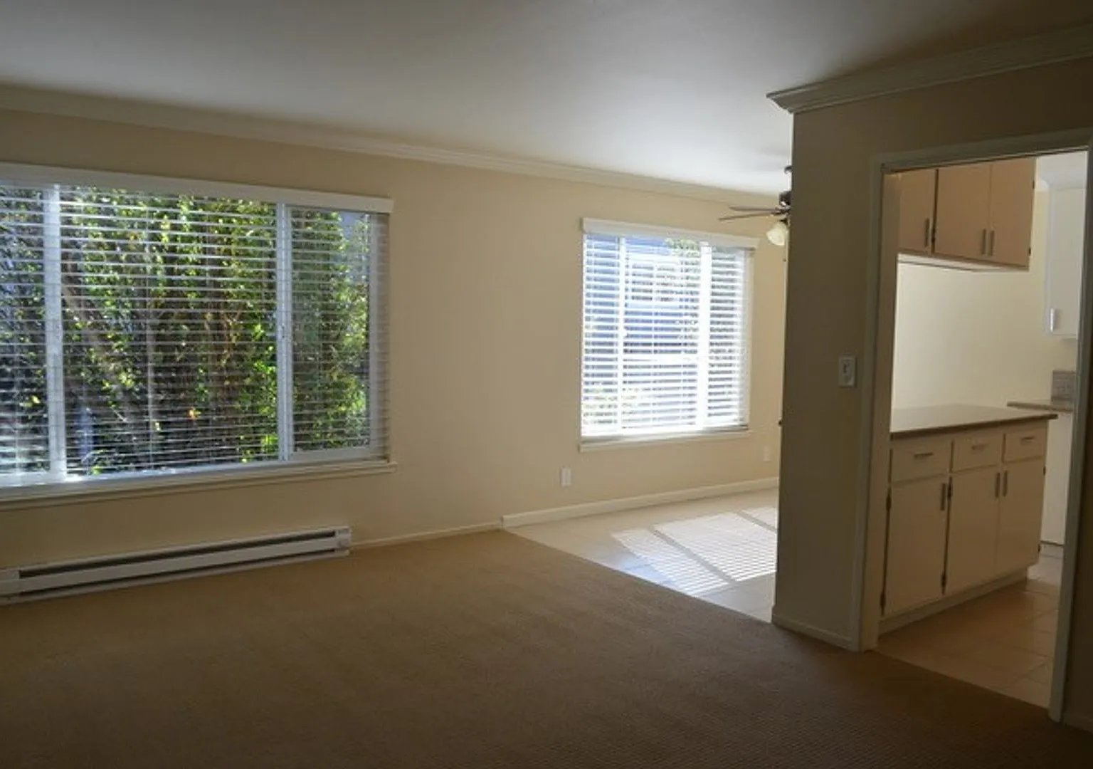 237 Elm St. — Photo 4