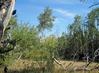 Wilderness Ranch Rd, Sand Creek Township, CO 82070