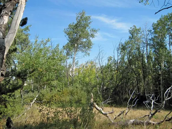 Wilderness Ranch Rd, Sand Creek Township, CO 82070