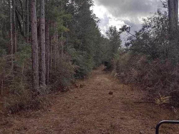 2nd image of LOT 24 Beech Dr