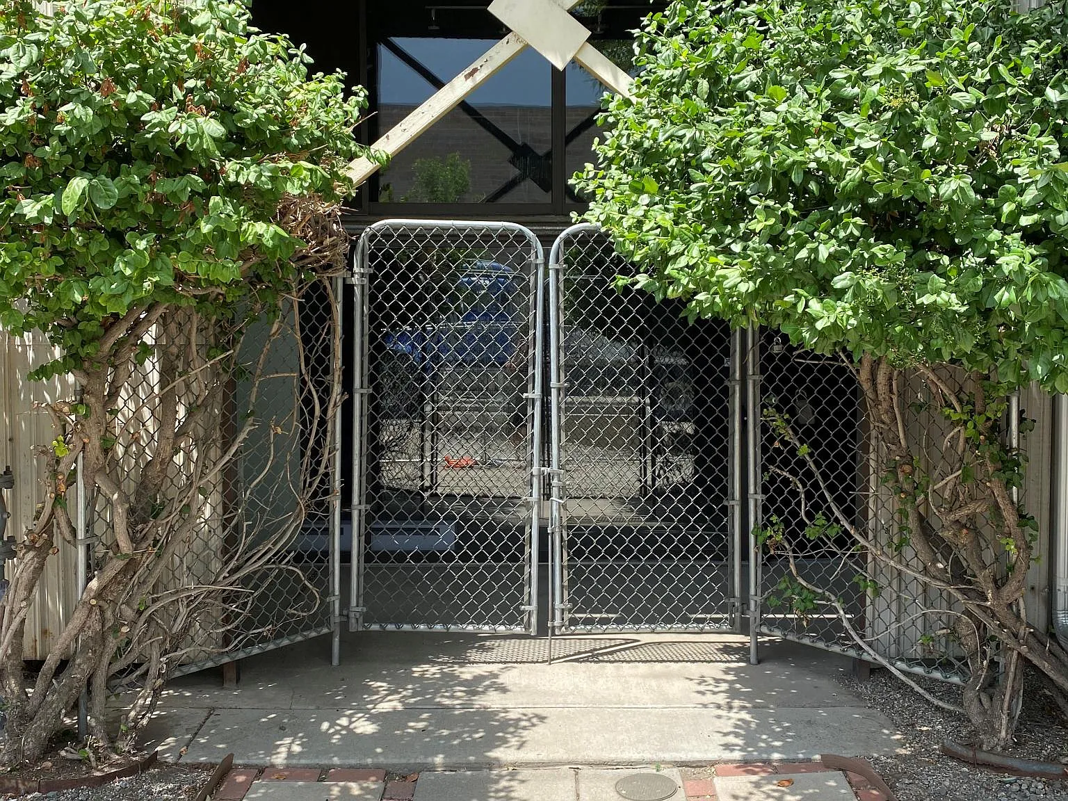 1 bed, 1196 sqft, $3,500 — Photo 2