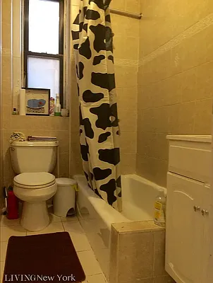 Rented by Living New York | media 8