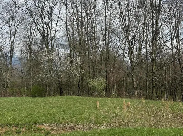 7326 State Route 19 Rd Lot 9-74, Mount Gilead, OH 43338