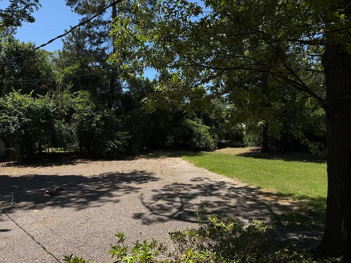228 Silver Bluff Road - 1 — Photo 2