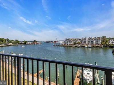 304 Academy St APT 202, Cambridge, MD, 21613