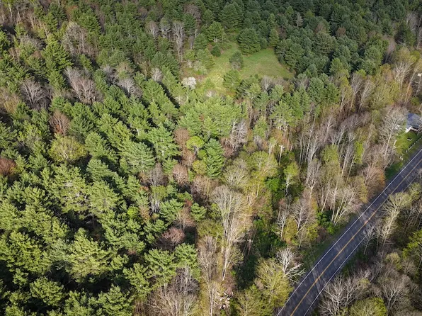 Hogback Rd Lot Wp001, Chemung, NY 14825