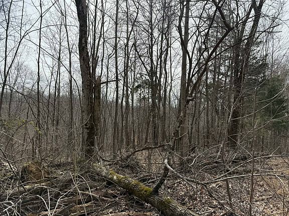 2nd image of 0 Malone Ridge Rd