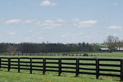 2nd image of 4201 Huffman Mill Pike Lot 4279