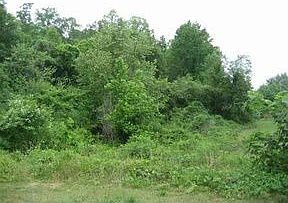 2nd image of 601 Central Rd
