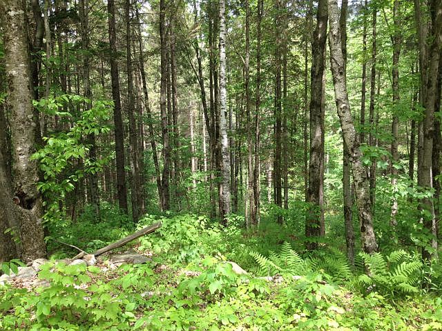 2nd image of 1073 Codding Hollow Rd
