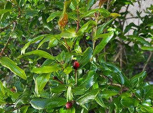 39 Santa Comba, Irvine, CA 92606