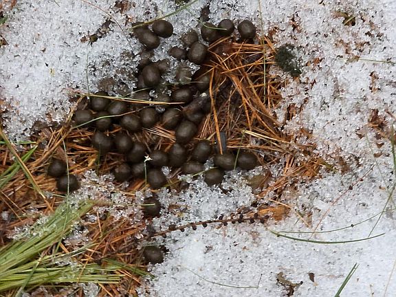 5th image of 00 Harriman Road