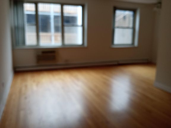 5th image of 3712 N Pine Grove Ave #310