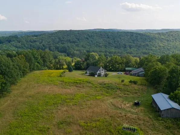 1115 Davenport Hill Rd, Nichols, NY 13812