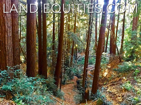 2nd image of Redwood Dr