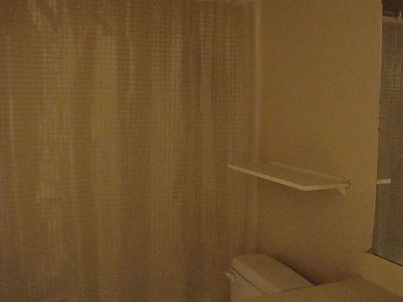 Bonus Room Full Bath