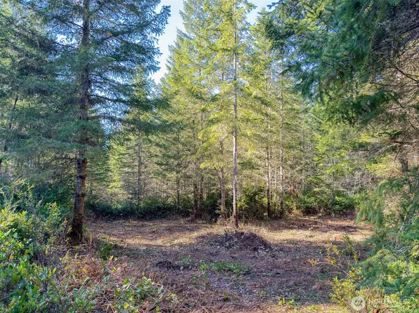 222 x Octopus Court, Quilcene, WA 98376