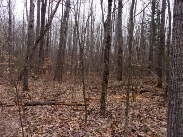 3031 Arlberg Cir, Spruce, MI 48762