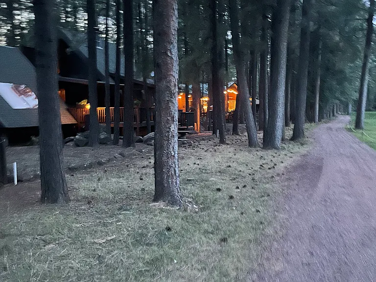 Deep Forest Dr — Photo 46