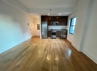 254 Front St APT 2A, New York, NY 10038
