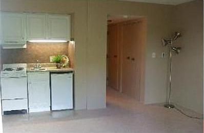 3rd image of 255 S West Ave APT 404