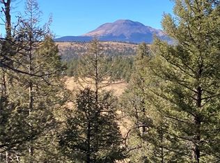 3940 Singletree Rd #730, Hartsel, CO 80449