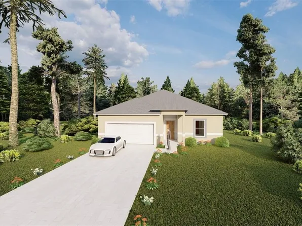 55 Guava Pass Dr, Ocklawaha, FL 32179