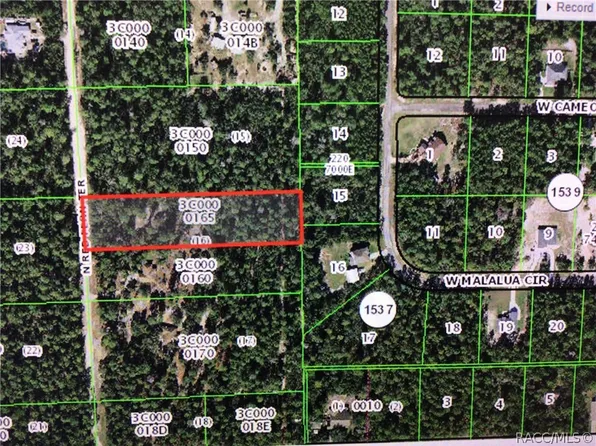 6235 N Red Fern Ter, Beverly Hills, FL 34465