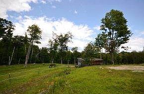 Barn w/electricity and water