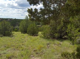 1810 Smith Pl, Show Low, AZ 85901