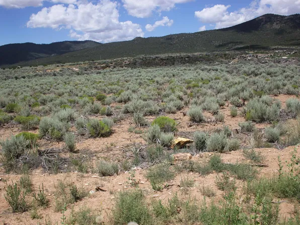 12 Shirley Dr, Questa, NM 87556