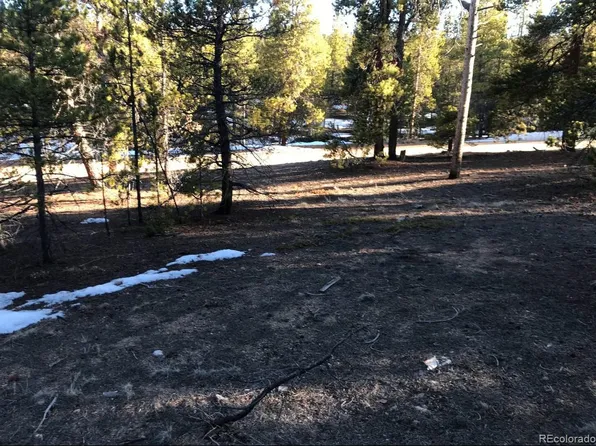 179 Peak View Dr, Twin Lakes, CO 81251