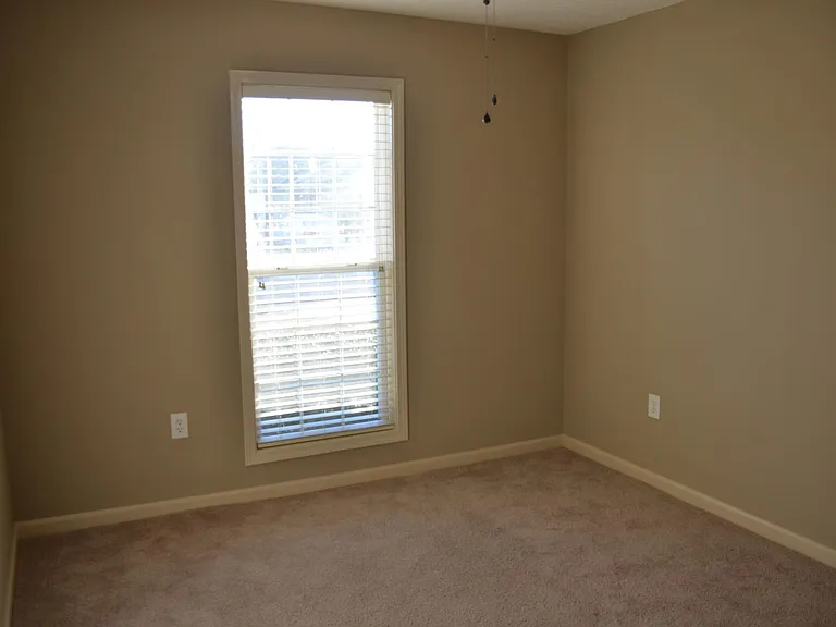 713 Buena Vista Loop — Photo 15
