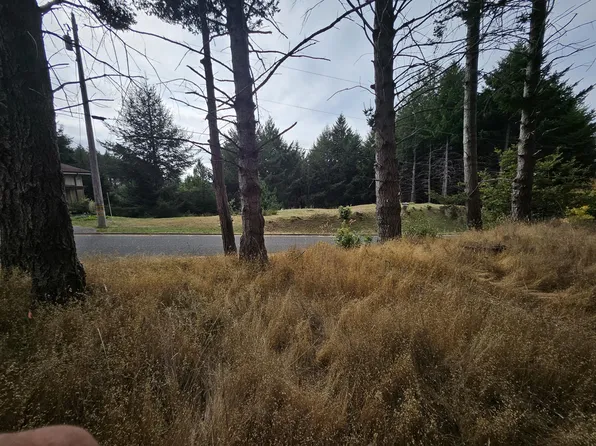 341 Ridge Rd, Whitethorn, CA 95589