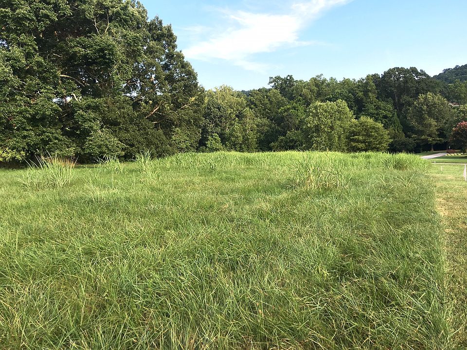 Level Lot
