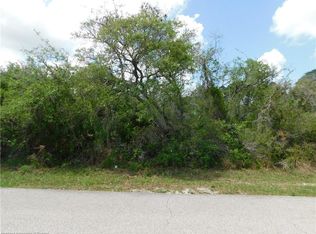 1619 Falcon Ave, Sebring, FL 33872