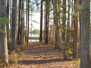 330 Loblolly Dr, Vass, NC 28394