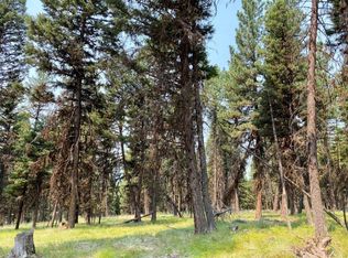 159 Telemark Way, Seeley Lake, MT 59868