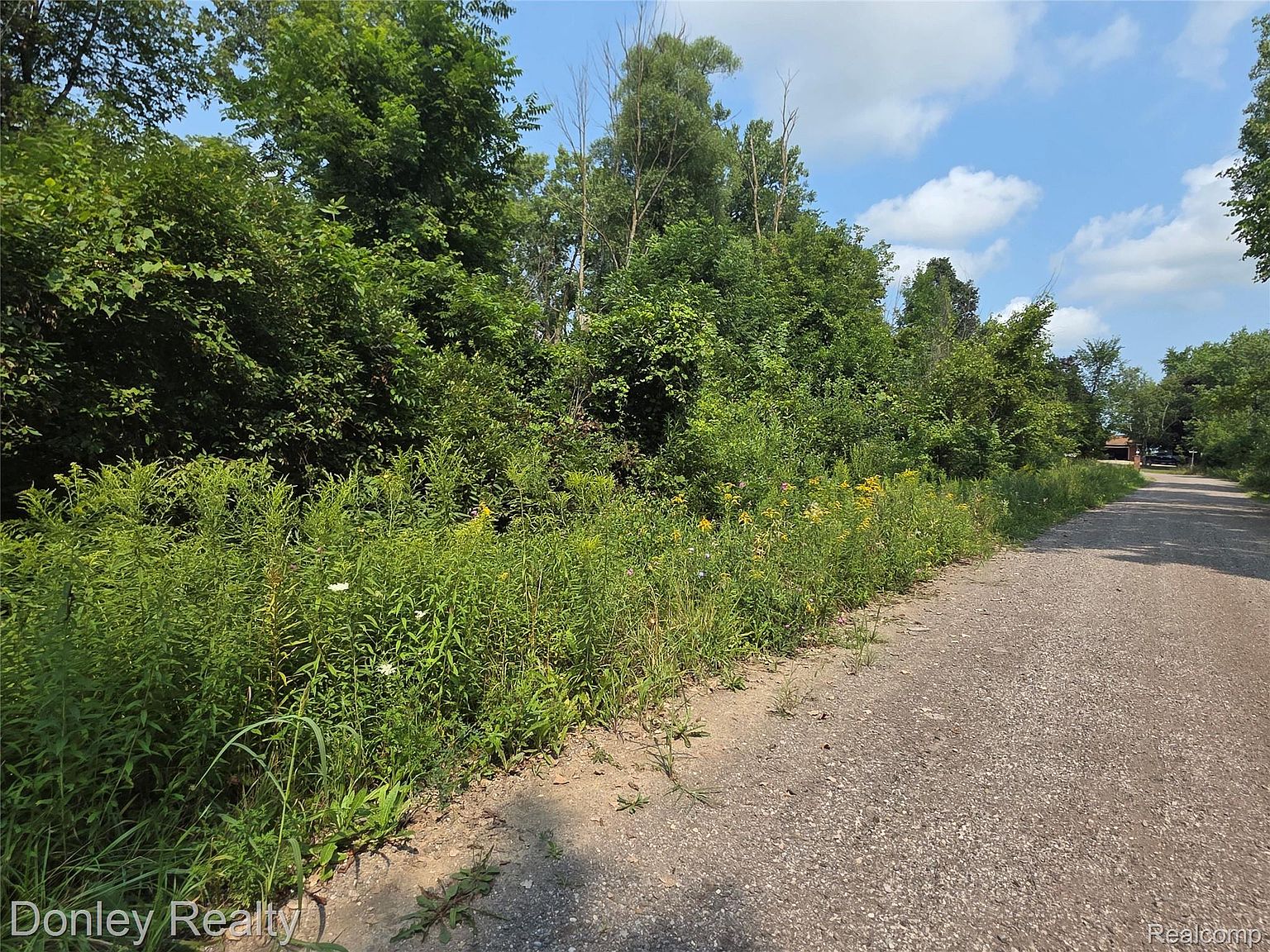 20 Vacant Lots Concord Cranbrook & Ln, photo 2