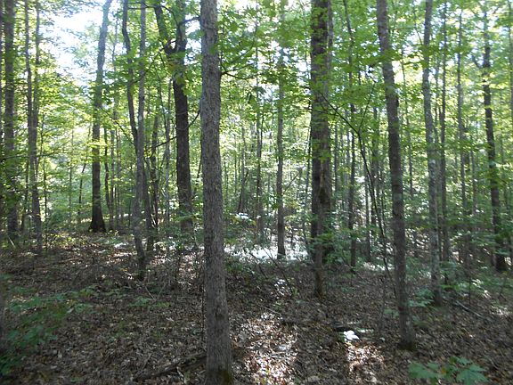3rd image of Crooked Branch Rd
