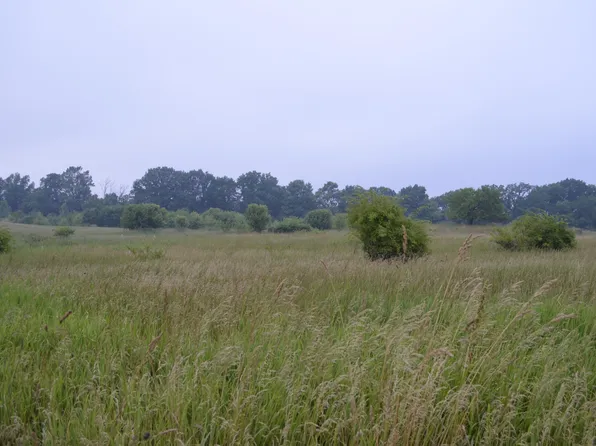 72nd Ave, Lawton, MI 49065