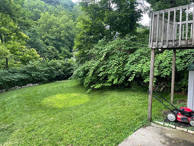 15003 Murrysville Rd — Photo 7