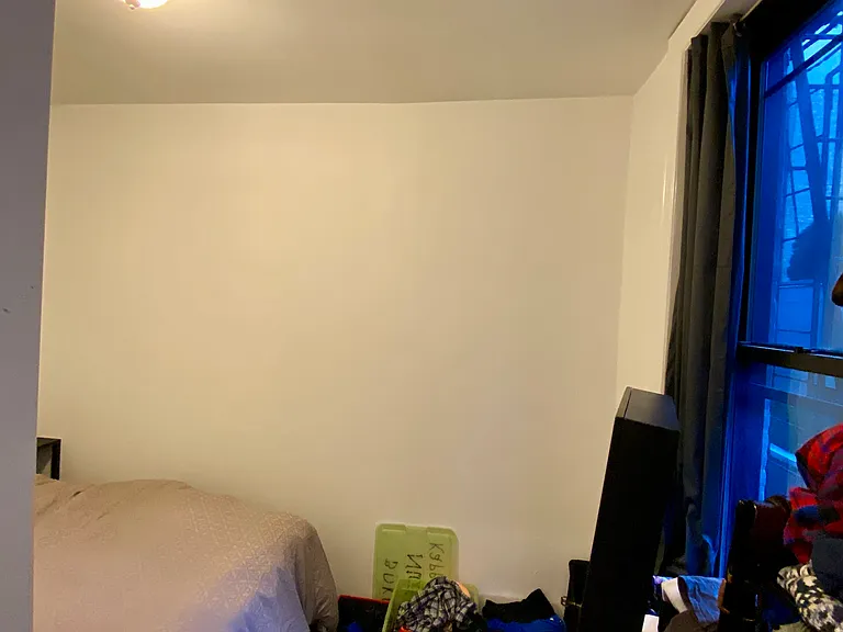 52 Carmine St #2 — Photo 6