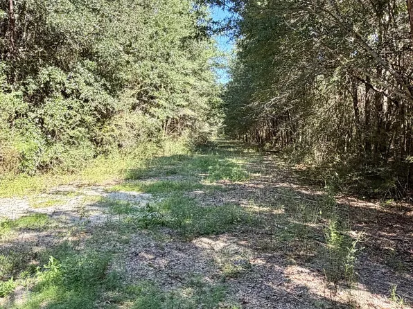 Still Pond Rd, Florala, AL 36442