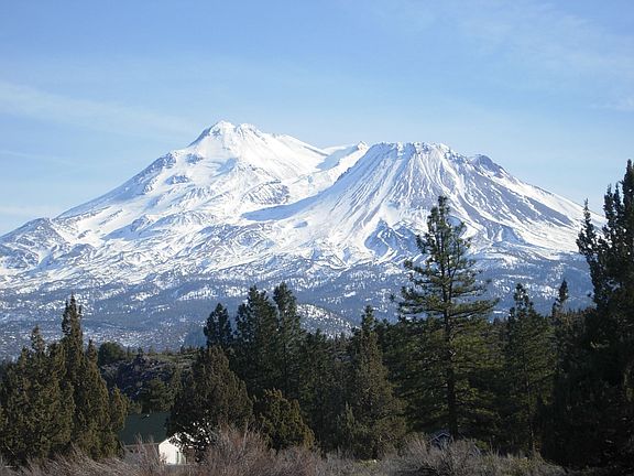 Mount Shasta View