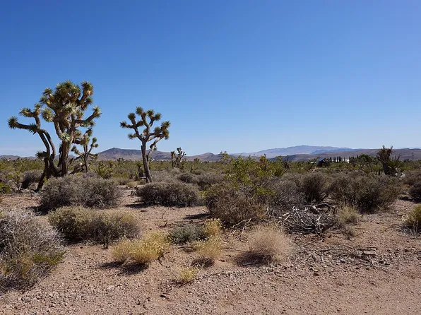 8346 W Indian Peak Dr, White Hills, AZ 86445