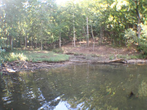 3rd image of Emerald Pointe Cir