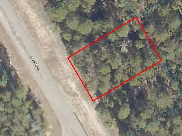 FISHER RD LOT 5, OCKLAWAHA, FL 32179